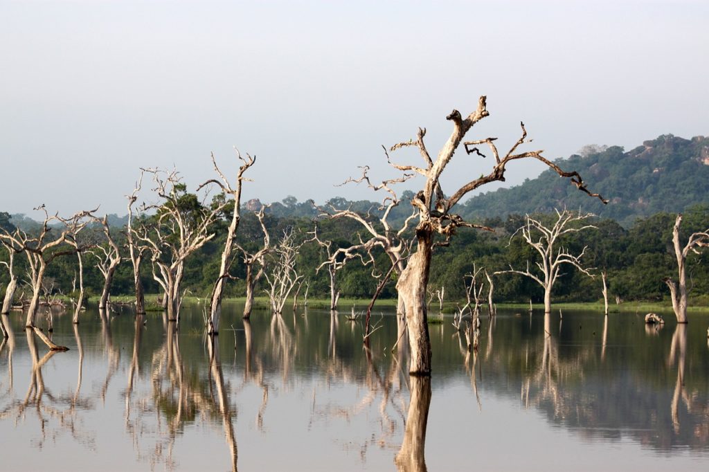 adventure in Sri Lanka