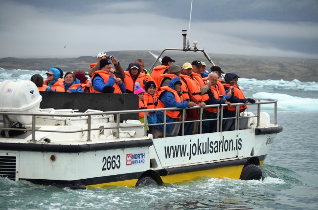 see whales in iceland