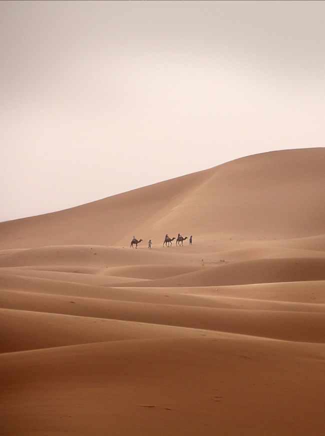 egypt in winter