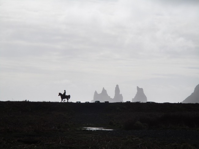 horse riding in iceland