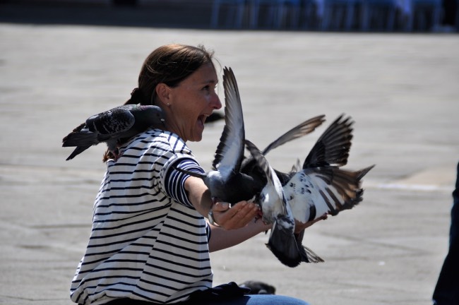 venice solo travel