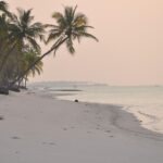 5 Things to Do in Lakshadweep for a Perfect Vacation – India’s Gem