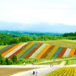 The Ultimate Hokkaido Summer Travel Guide – All You Need to Know